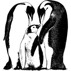 Penguin Family Illustration