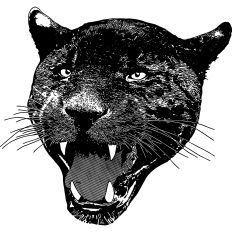 Roaring Panther