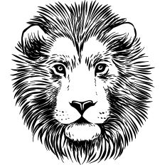 Lion Illustration