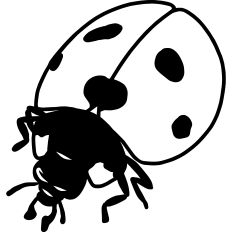 Ladybug Linework