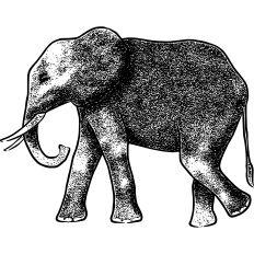 Elephant Illustration