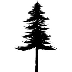 Tree Silhouette