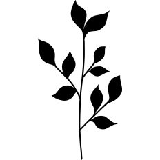 Leaf Branch Illustration