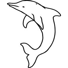 Dolphin Linework Illustration