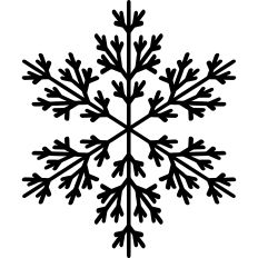 Snowflake illustration
