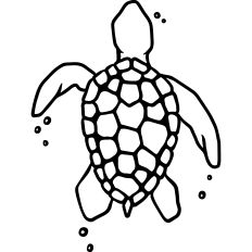 Sea Turtle Linework