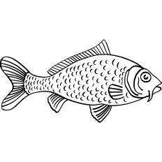 Fish Linework