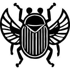 Scarab vintage illustration