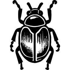 Scarab vintage illustration