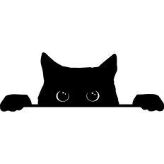 Black cat Illustration
