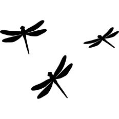 Dragonflies silhouette