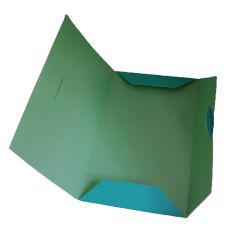 Flat Envelope with Insert