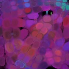Lively Colorful Party Art Background