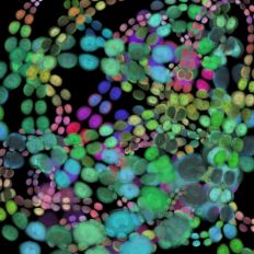 Colorful Festive Abstract printable Background