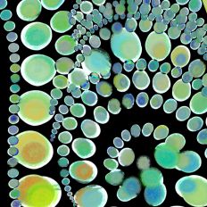 Printable Digital Abstract Art Designs for Silhouette Studio 