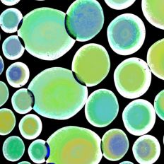 Lively Colorful Party Art Digital Background Multiuse Design