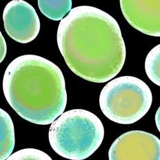 Lively Colorful Party Art Digital Background Multiuse Design 