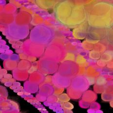 Bright Artistic Party Background Multiuse Digital Design 