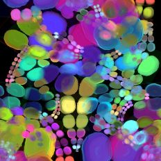 Dynamic Party Art Background Multiuse Digital Design 