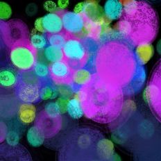 Bright Artistic Party Background Multiuse Digital Design 