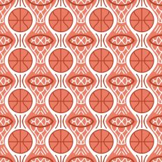  Hoop De Doo Swishing Basketball Nets and Basketballs