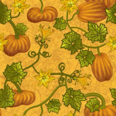 pumpkins on the vine with yellow squash blossoms