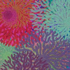 Vibrant Coral Abstract Background Design 