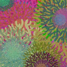 Vibrant Coral Abstract Background Design 