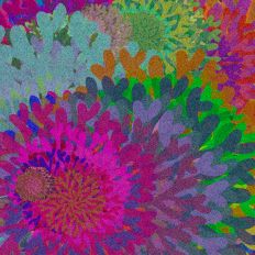 Vibrant Coral Abstract Background Design 