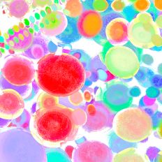 Colorful Festive Abstract Backdrop Multiuse Digital Design 