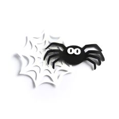 Web and Spider