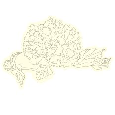 Elegant Peony Branch Floral Sketch Design