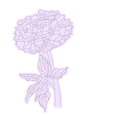 Elegant Peony Branch Floral Sketch Design 