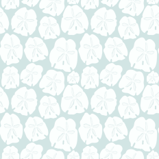 Beachy White Sand Dollars on a pale sea glass blue green printable background design