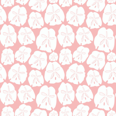 White Beachy Sand Dollars on Pale salmon pink 
