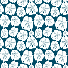 White beachy sand dollars on teal