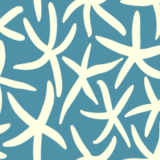 Cream Colored Starfish on Turquoise