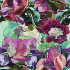 Ranunculaceae Flower Family Spring Floral Background Design with aquas, pinks and wine
