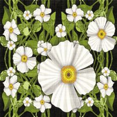 Stylized California White Poppies