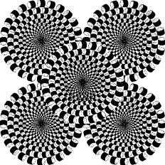 Optical Illusion