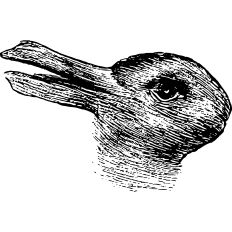 Rabbit or Duck Optical Illusion