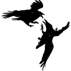 Dancing Crows