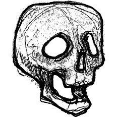 Skull Drawing in Charcoal