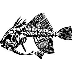 Fish Skeleton Black and White