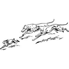 Dogs hunting Rabbit Vintage Illustration 