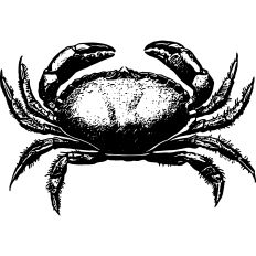 Crab Vintage Print 