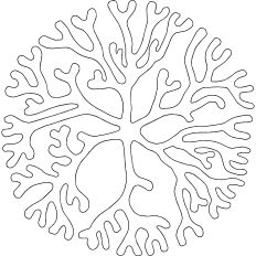Coral linework