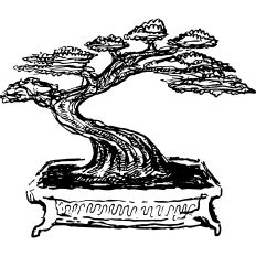 Bonsai hand drawn 