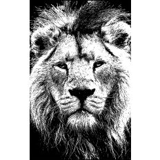 Lion realistic illustration Black and White 