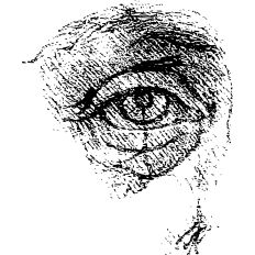Eye sketch by Leonardo da Vinci 
